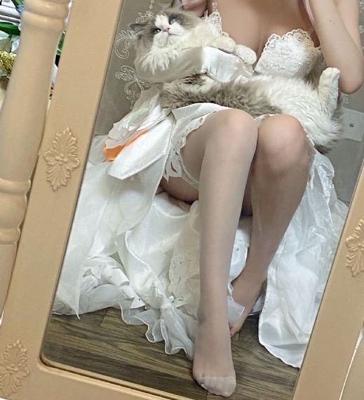 蕾丝app视频_清晰免费影视在线观看