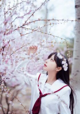 a毛大片全黄无遮挡免费看_JVID性感写真